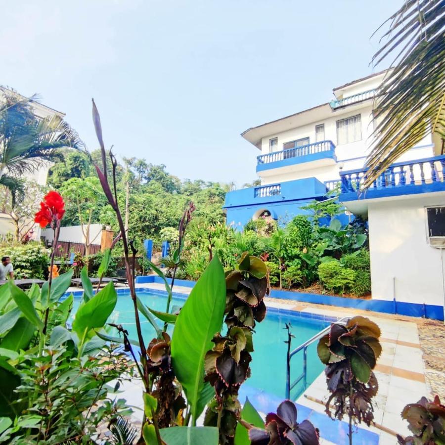 Amazing Hilltop 4 Bhk Villa With Private Pool Near كاندولِم المظهر الخارجي الصورة