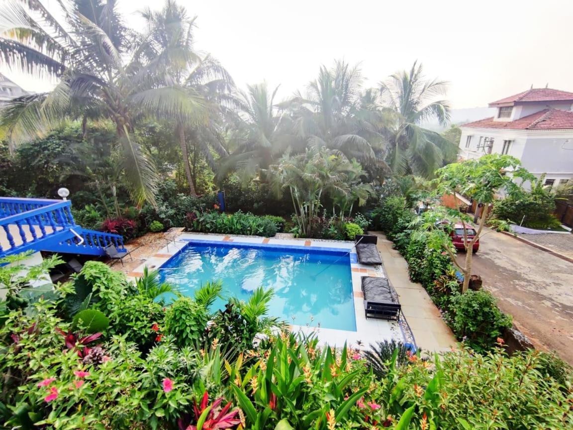 Amazing Hilltop 4 Bhk Villa With Private Pool Near كاندولِم المظهر الخارجي الصورة